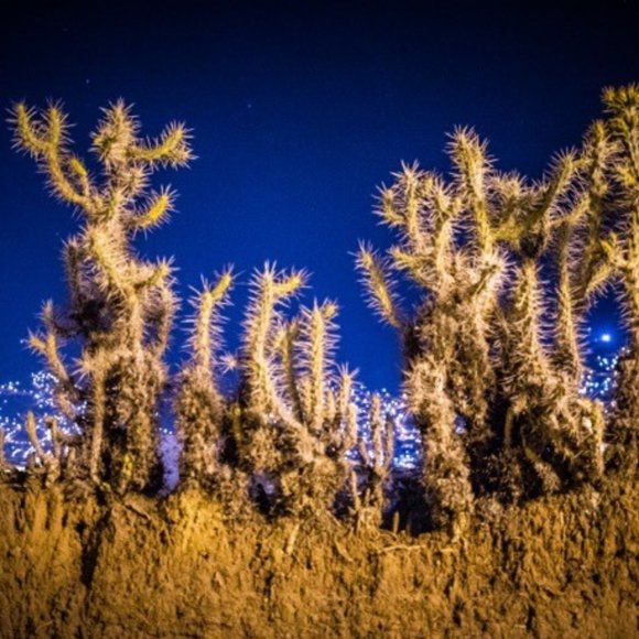 Meet your Posher, Deana - Picture 1 of 1